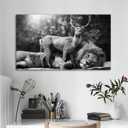 Zwart -wit leeuw herten foto's dieren liegen gemalen canvas schilderen muurkunst voor woonkamer posters en prints