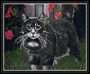 Black Cat Home Decor DIY Artwork Kit, Handgemaakte Cross Stitch Craft Tools Borduurwerk Handelsets Geteld Afdrukken op Canvas DMC 14CT / 11CT