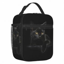 Sacs à lunch isolés chat noir pour femmes mignon animal de compagnie Kitty amoureux des animaux portable refroidisseur thermique nourriture boîte à lunch travail école voyage w8cr #