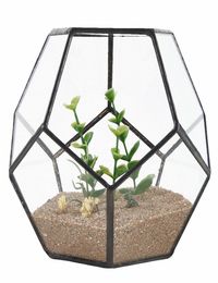 Pentagone noir Pentagone Géométrique Terrarium Conteneur Décor de décoration de fleur Balconie Planteur DIY Boîte d'affichage pas de plante T2001048325439