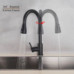 Black Tire Out Kitchen Faucet Silver Pandle Nickel Kitchen Tap Gandage Single Hand Great Papetter Papetter Aauter Tap