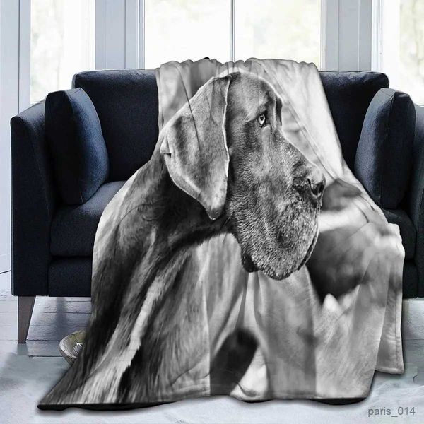 Couvertures noir blanc marron grande couverture polaire légère chaude flanelle doux confortable lit canapé chien motif couvertures toutes saisons