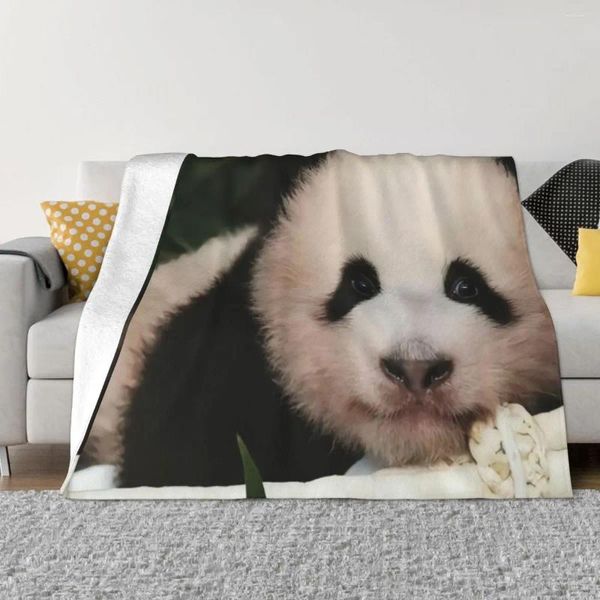 Couvertures Fu Bao Fubao Panda Animal Couverture Plaid Flanelle Polaire Jeter pour la literie de luxe Décor à la maison