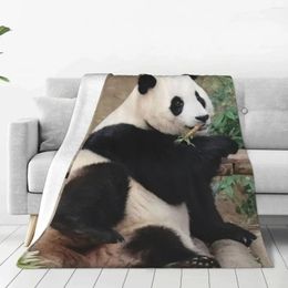 Couvertures Fubao Panda Fu Bao Animal Couverture Animal Super Warm Decorative Bed Office pour voyages de la chambre
