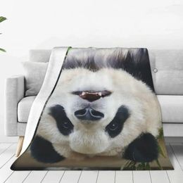 Dekens fubao panda fu bao dierendekens zachte pluche sherpa-worp voor duurzaam langdurige kamer decor