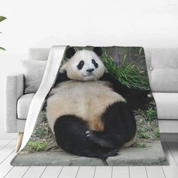 Dekens fubao panda fu bao dierendeken super warm all-season comfortworp voor luxe beddengoed betaalbaar
