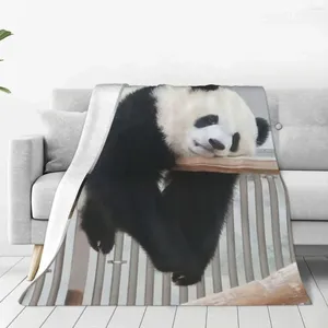 Dekens fubao panda fu bao dierendeken lichtgewicht ademende decoratieve bedworp voor gemakkelijke verzorging machine room decor