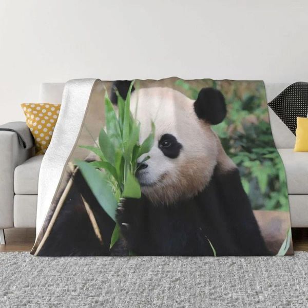 Mantas Fubao Panda Fu Bao Animal Blanket Soft Sherpa Throw para una máquina de cuidado fácil asequible