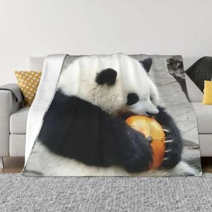 Couvertures Huahua Panda Animal Couverture douce en peluche flanelle polaire pour literie de luxe voyage