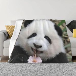 Couvertures Huahua Panda Animal Couverture Sool Plux Flannel Fleece Thance pour une décoration de chambre durable durable