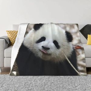 Dekens Huahua Panda Dierdekens Zachte pluche pluche anti-pilling flanel throw voor luxe beddengoed Home Decor