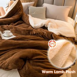 Couvertures d'emmaillotage SEIKANO couverture d'hiver chaude pour canapé-lit couvertures couleur unie couverture polaire chambre salon adultes enfants couvertures de laine épaisse 231124