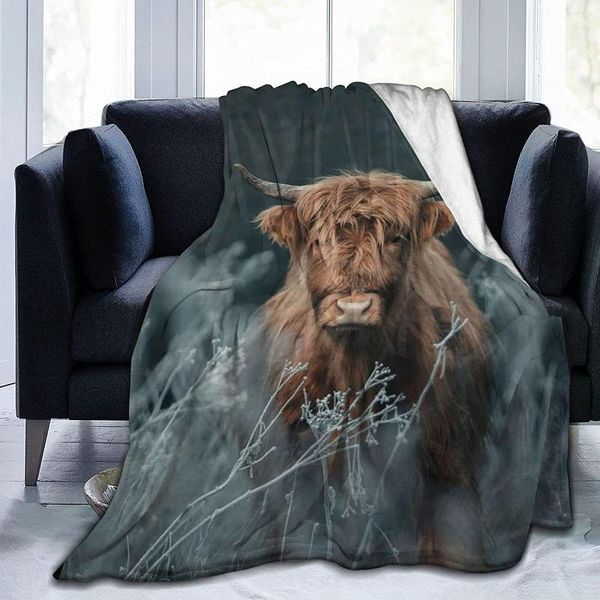 Couvertures Ultra Douces en Flanelle Marron Vache Couverture Highland Bovins Paysage Rustique Ferme Toutes Saisons Chaud Léger Confortable King Size