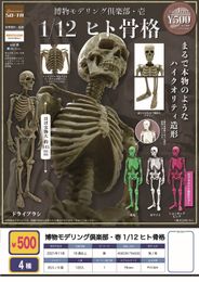 Blind doos Japan Sota Gashapon Capsule Speelgoed Creatieve Model Decoratie Bone Puppet Horror Menselijk Lichaam Schedel 230714