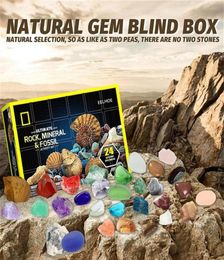 Blinde doos National Geographic Mega Gem Mining KitDig 24 echte edelstenen STEM-wetenschap en educatief speelgoed maken van kinderen een geweldige activiteit3654059