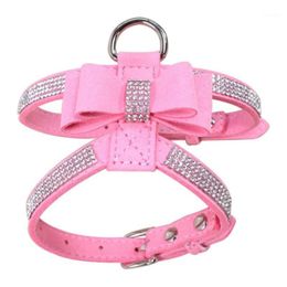 Harnais en cuir et velours pour animaux de compagnie, strass scintillants, laisse pour petit chien, chiot, chat, Chihuahua, collier rose, produits pour animaux de compagnie, AB1253L