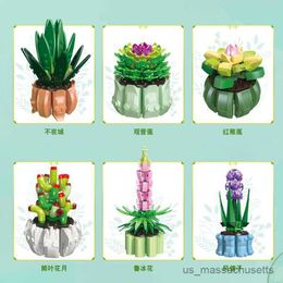 Blokkeert 6 -stcs/sets DIY Pot Plants Hyacinthectieve Cactus Lotus Bonsai Gardens Romantische bouwstenen Model B Kids Kits Toy R230817