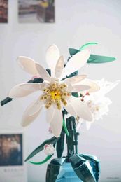 Blocs 800 + pièces Epiphyllum Arrangement fleur romantique fille série cadeaux d'anniversaire décoration bricolage Vase blocs de construction modèle briques