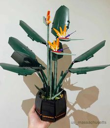 Blokkeert Bird of Paradise Bouquet Rose Building Block Diy Poted Illustration Holiday Gift Home Decor R230814