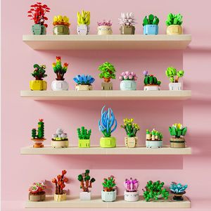 Blocs DIY Plantes en pot Succulents Cactus Gypsophila Bonsai Tree Gardens Modèle de construction romantique Briques Enfants Ensembles Kits Jouets 220902