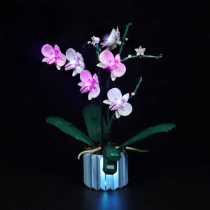 Lazishi – blocs de lumière LED pour éclairage d'orchidées 10311, jouets de bricolage (modèle non inclus) R231208