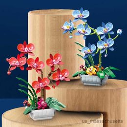 Blocs Mini Potted Flower Building Blocs DIY Creative Phalaenopsis Green Plant Bonsai Home Decoration Children's Educational Toy Gift R230817