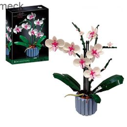 Blocs Moc Bouquet orchidée bloc fleur succulentes blocs de construction en pot adaptés pour 10311 Kit romantique assemblage bâtiment jouet fille cadeau