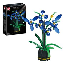 Blocs Romantique Bouquet Fleurs Bleu Phalaenopsis Plantes En Pot Bâtiment Décoration Briques DIY Jouets pour Adultes Filles Cadeaux 220902