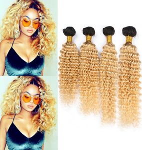 Rubio Ombre Human Hair Bundles Weave de ondas profundas brasileñas 1B 613 Ombre Human Hair 4 Bundle Ofers Dark Roots Virgin Hair Extension7387616