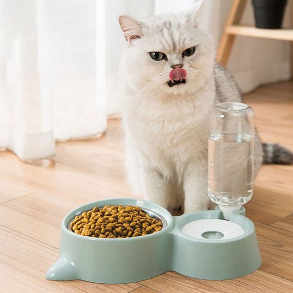 Blue Pet Dog Bowl Fountain Automatic Food Agua Container de alimentación para gatos Perros bebiendo artículos para mascotas