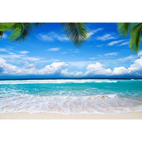 Cielo azul y mar Playa tropical Telón de fondo Fotografía Impreso Palmera Hojas Aerosol blanco Niños Verano Escénico Foto Fondos