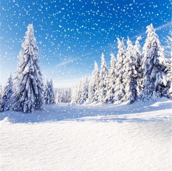 Cielo azul cayendo copo de nieve telón de fondo para pografía pinos cubiertos de nieve gruesa carretera al aire libre escénica vacaciones de invierno Po Studio 3674534