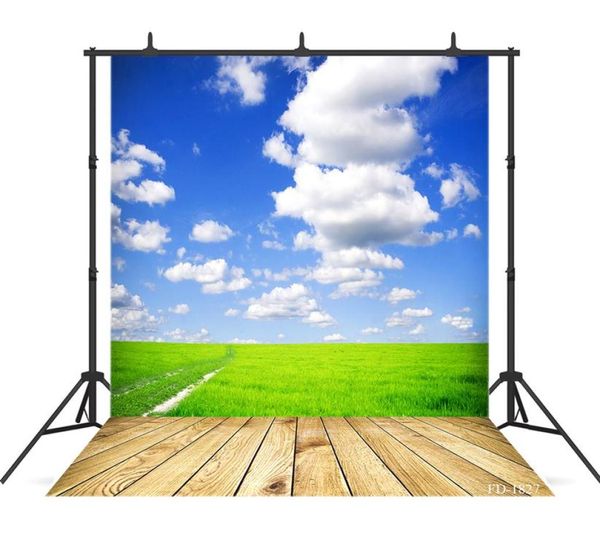 Blue Sky Grass Planchers en bois Portrait Portrait pour PO Shoot accessoires Child Baby Shower Board PO Booth200G8122138