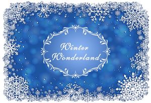 Bleu hiver pays des merveilles toile de fond vinyle imprimé flocons de neige blancs textes personnalisés bébé enfants fête d'anniversaire photomaton fond