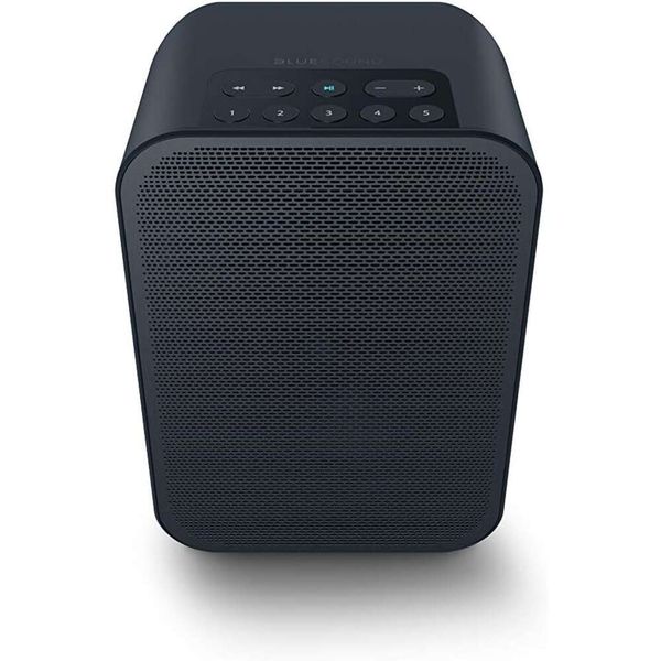Bluesound Pulse Flex 2i Portable Wireless Smart Enceinte en noir - Alexa Siri compatible, fonctionnalité multi-chambres, connectivité Bluetooth - qualité sonore supérieure