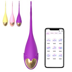 Bluetooth Dildo Vibrator pour couples Femmes App Remote Control vibrateurs de plug anal Men Butt Toys sexy Adults 18