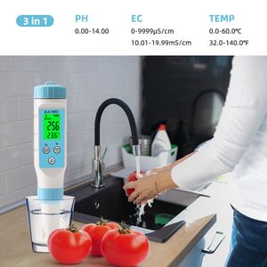 Bluetooth Ph ed TDS Temple Salinité Médier numérique Testeur de qualité de l'eau Digital Tester Smart Online Monitor Contrôle des applications pour Aquarium Pool