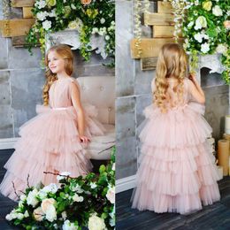 Blush Rose Belle Mignonne Fleur Fille Robes Glamorous Vintage Princesse Fille Toddler Jolis Enfants Pageant Formelle Premier Saint Commu278v
