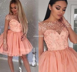 Blush roze korte feestjurken Sheer Lace korte mouw 2020 Goedkope 8e college junior Homecoming Dress voor cocktail prom jurken2671766