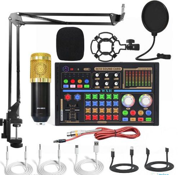 BM 800 DJ18 Microfonos de audio profesionales V8 Pro Sound Tarjeta Conjunto de Mic Studio Condenser para OTG Type-C TV Live Vocal Reception Performance