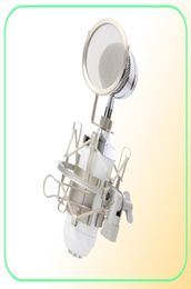 BM8000 Professional Sound Studio Recording Condenser Microphone Microphone 35 mm Port de support Filtre pop pour KTV Karaoke4587801