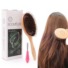 Brosse à cheveux en poils de sanglier Peine en bois de chêne pour femmes coiffure Massage du cuir chevelu brosse à cheveux Salon De beauté accessoires de barbier 240226