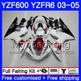 Lichaam voor YAMAHA YZF600 YZF R6 03 04 05 YZFR6 03 Carrosserie 228HM.19 YZF 600 R 6 YZF-600 YZF-R6 White Factory Frame 2003 2004 2005 Valingskit