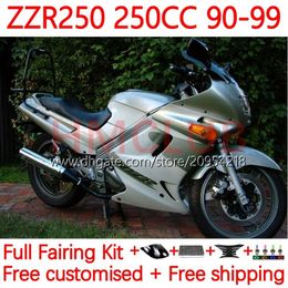 Kit de carrosserie pour Kawasaki Ninja ZZR250 ZZR-250 90 91 92 93 94 95 96 97 98 99 Bodywork 16No.41 ZZR 250 CC 1990 1991 1992 1993 1994 1996 1996 1997 1998 1999 EMS FAIRING Silver White blanc