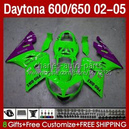 Kit de carrosserie pour Daytona 650 600 CC 2002 2003 2004 2005 Corps vert violet 132No.93 Capot Daytona650 02-05 Daytona600 Daytona 600 02 03 04 05 Carénage de moto ABS