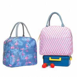 bolsas de Picnic para bebidas, aperitivos, bolsas de mano para cservar frutas, bolsas de comida, almuerzo, aisladas para alimentos w46A#