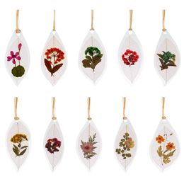 Bookmark bladader geperst bloemenboekstopper met raffia kwastbloemen 1 pak gedroogd gevormd