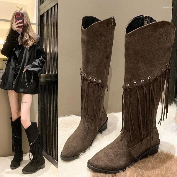 Botas moda bohemia hasta la rodilla mujeres borlas puntiagudas gamuza sintética damas tacón grueso botas largas mujer 2024