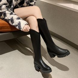 Botas largas de invierno para mujer, zapatos de plataforma hasta la rodilla, Ytmtloy, cremallera, punta redonda, tacón cuadrado, botines de mujer sexy