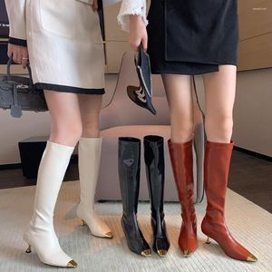 Botas con punta de metal para mujer, botines hasta la rodilla, botines negros, blancos, rojos, tacones medios finos, sin cordones, para fiesta, caballero de invierno